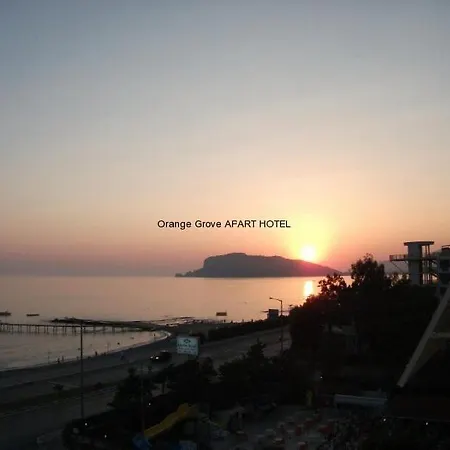 Orange Grove Apart