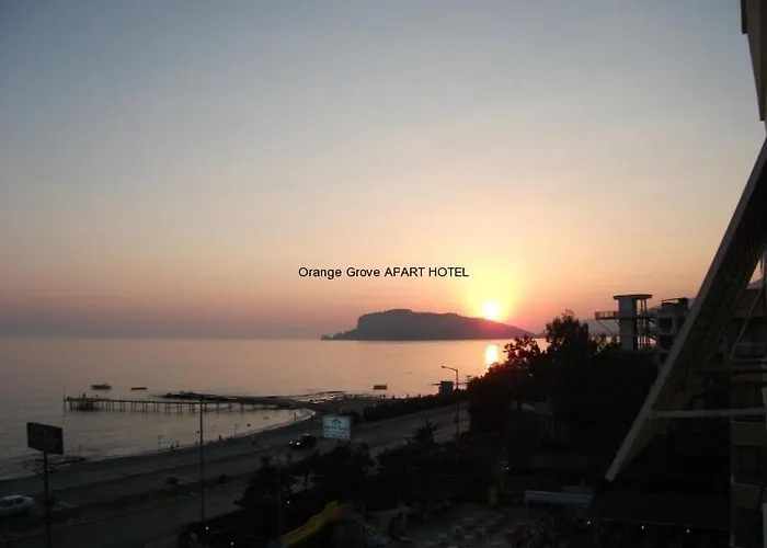 Orange Grove Apart